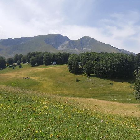 Durmitorski Konak Zabljak  Bagian luar foto