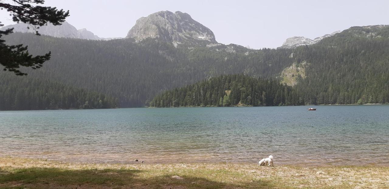 Durmitorski Konak Zabljak  Bagian luar foto
