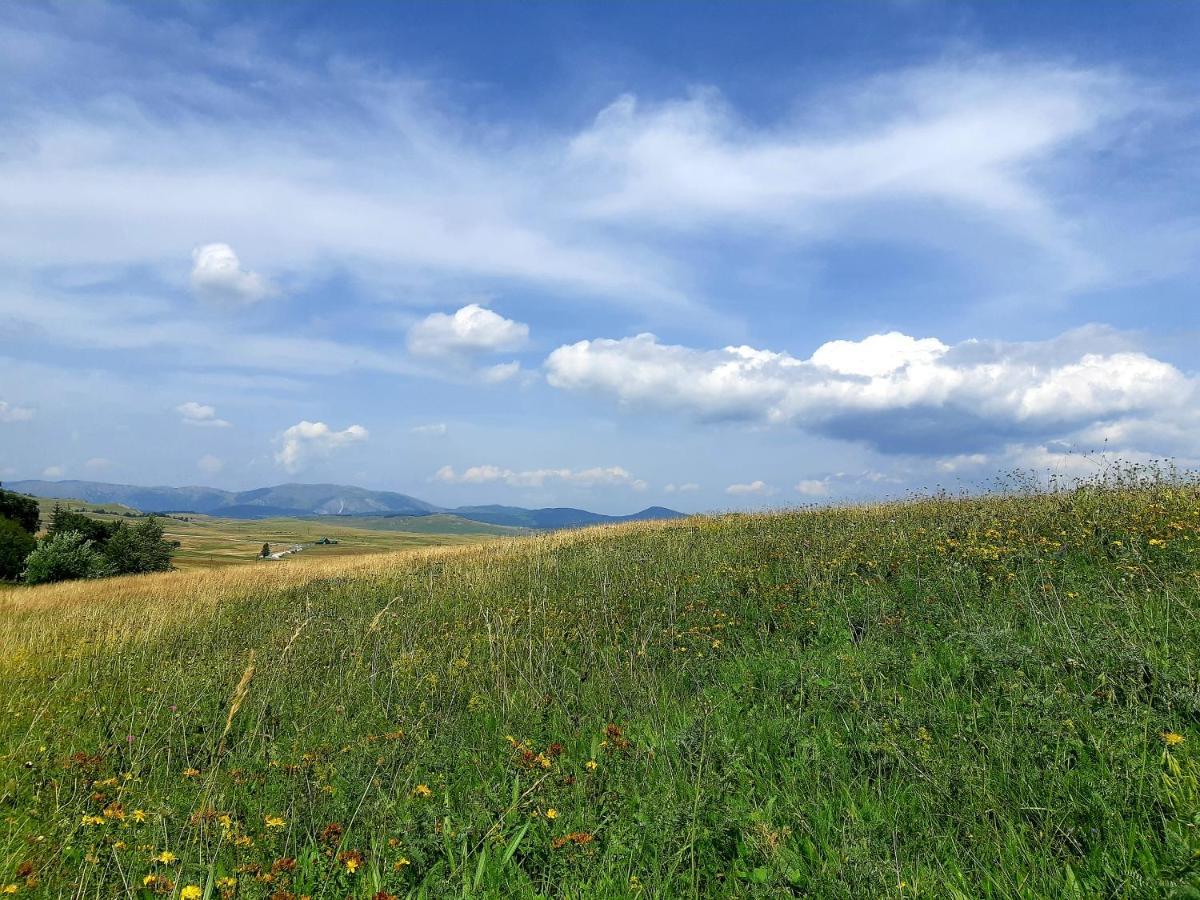Durmitorski Konak Zabljak  Bagian luar foto