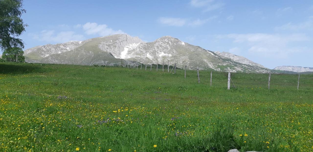 Durmitorski Konak Zabljak  Bagian luar foto
